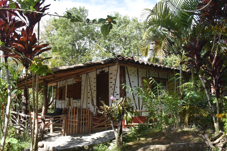 Ardilla La Casa De Francois San Agustin